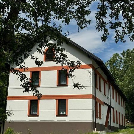 Dobrany  Tkalcovna U Zlateho Potokaアパートホテル エクステリア 写真